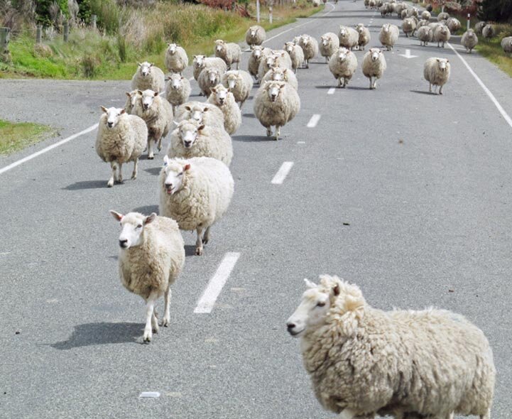 Вот что-то такое люди перед сном видят...