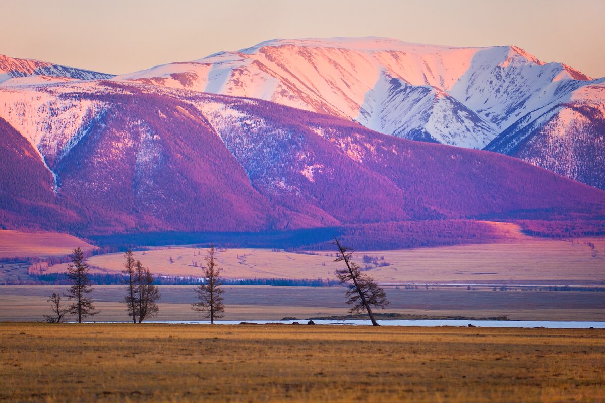 Реки Кош Агача