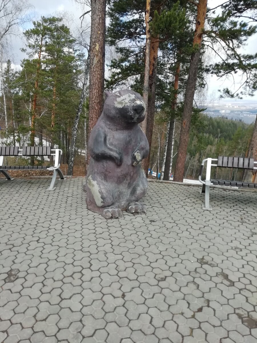 бобёр