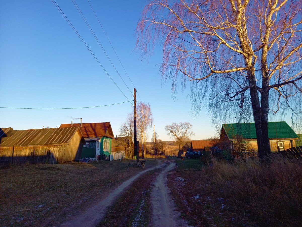 Старинное село Данилиха из которого ушли почти все люди, места вокруг  живописные, вроде живи и радуйся | Под зонтиком | Дзен