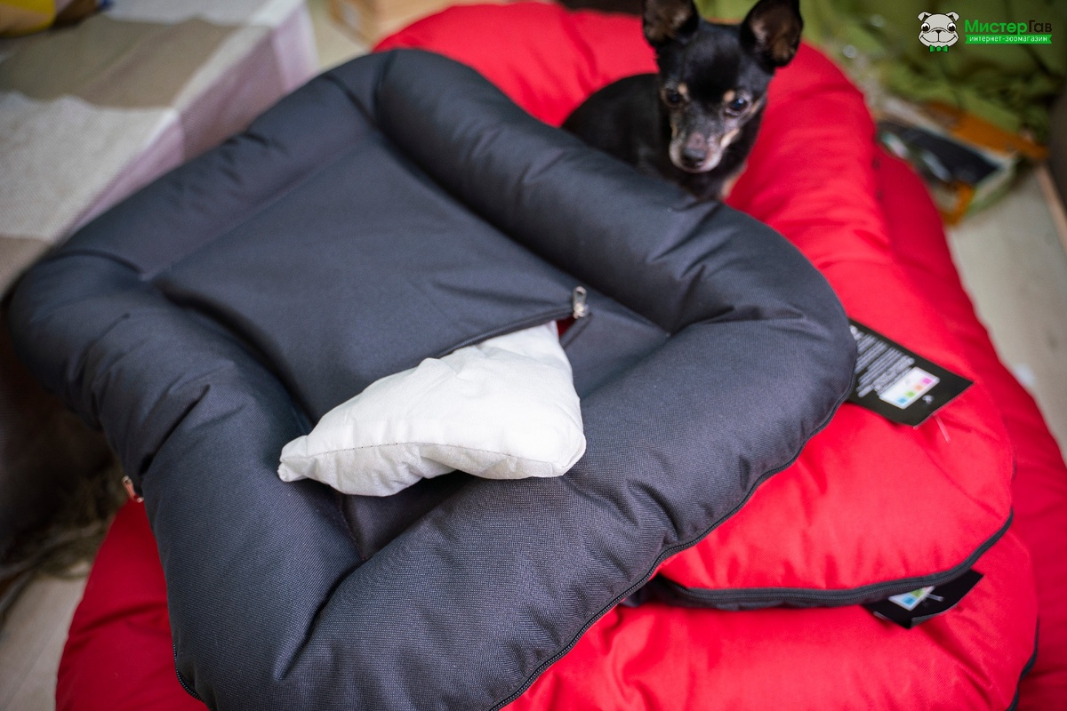 Фото интернет-магазина Мистер Гав