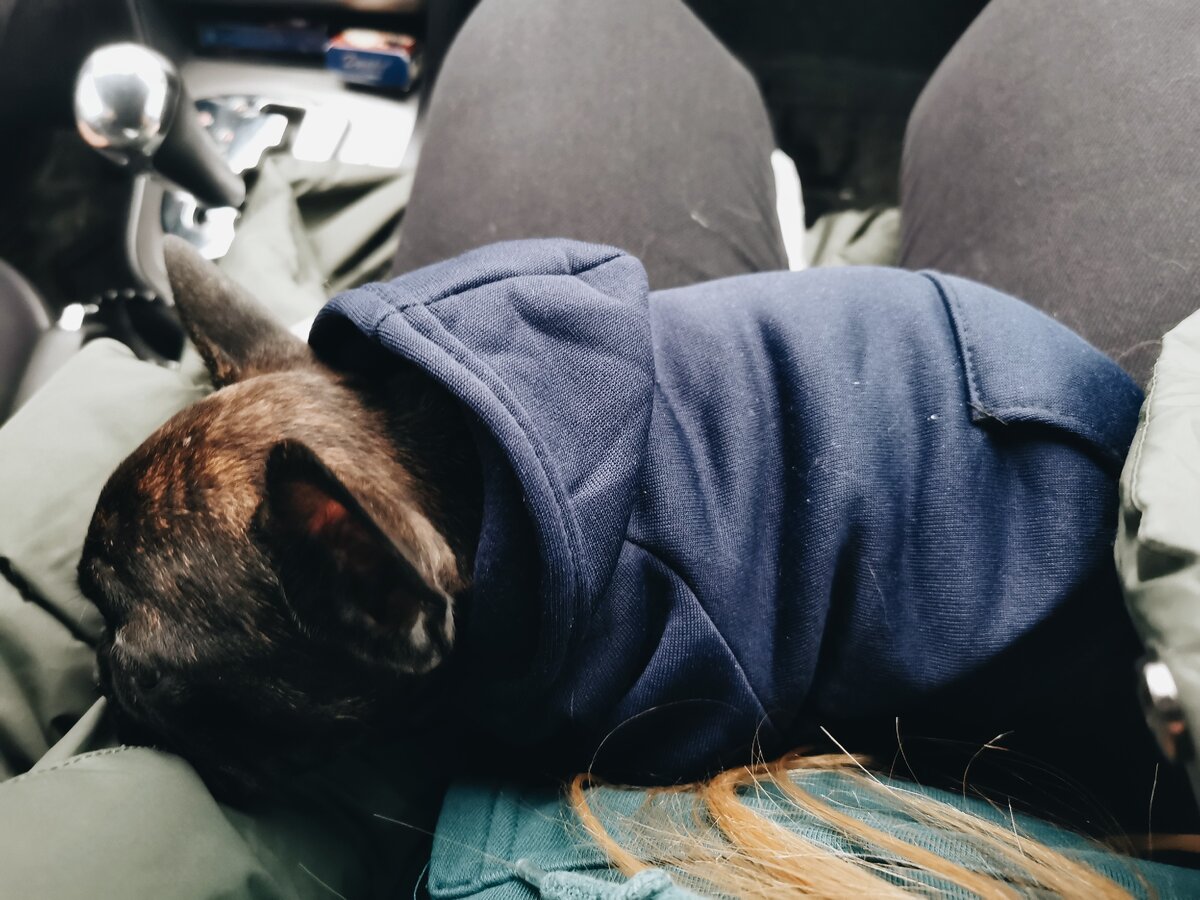 Грустная булочка