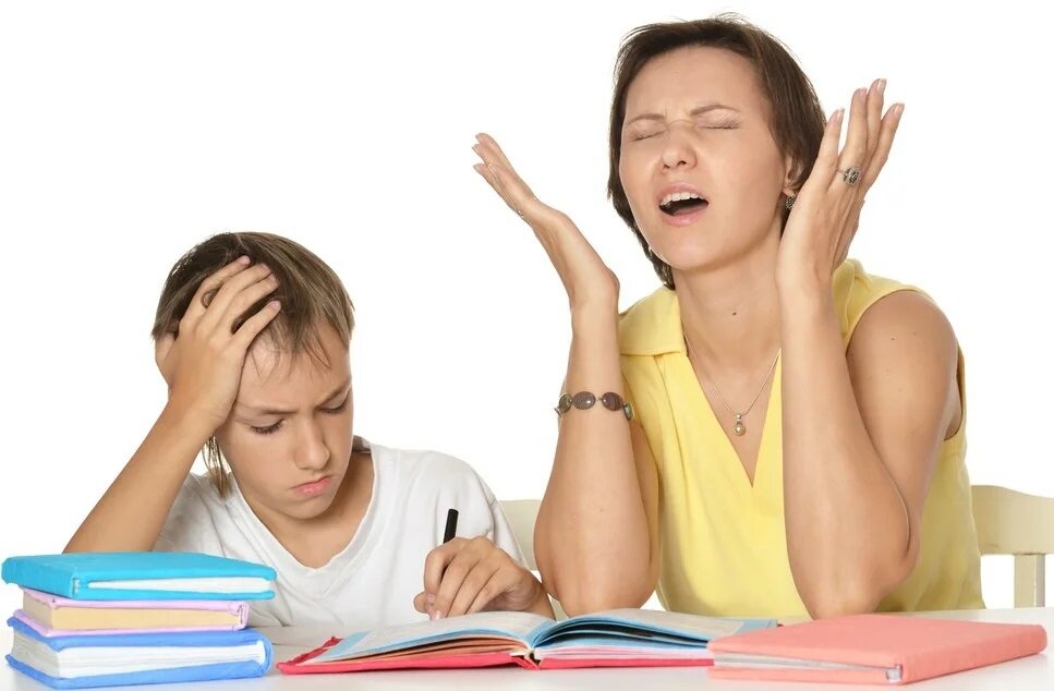 Изображение из интернета.