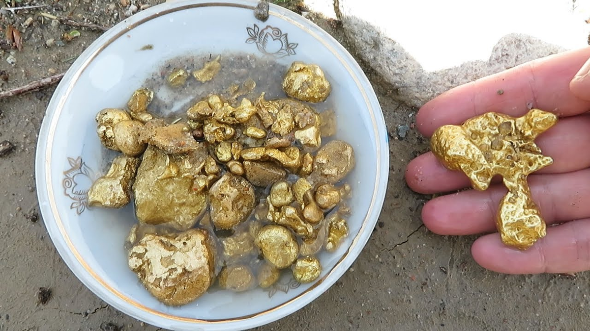 Золотой нашли. Золотые самородки россыпное золото. Золото самородки слитки находки ископаемое. Золотые прииски в Бурятии. Самородное золото добыча
