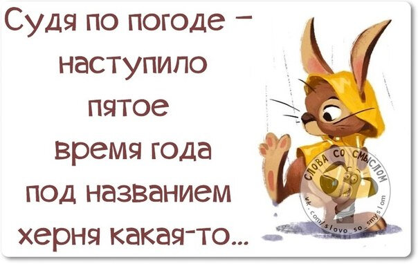 Фото из свободного доступа