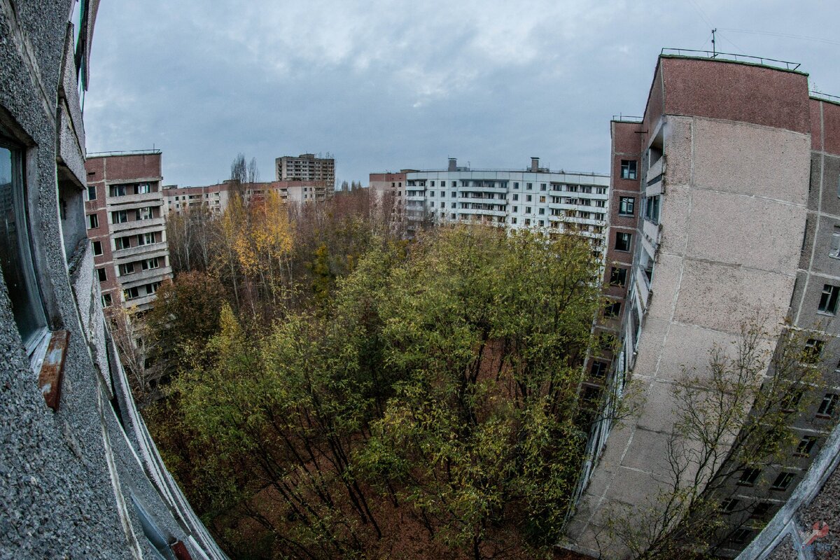 Вид из окна заброшенного дома.