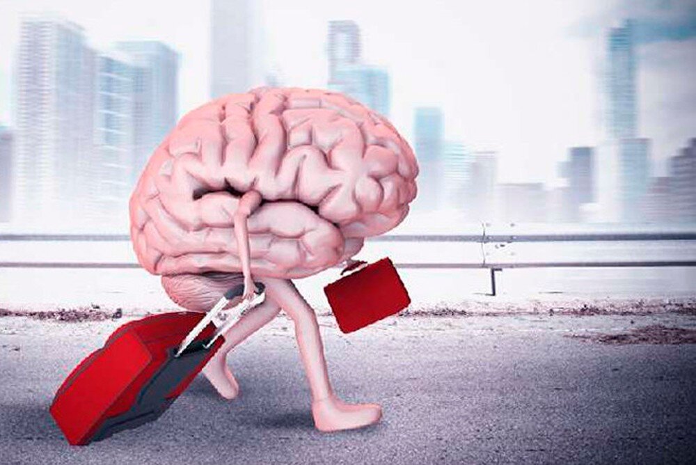 Карикатура на утечку мозгов из открытого доступа