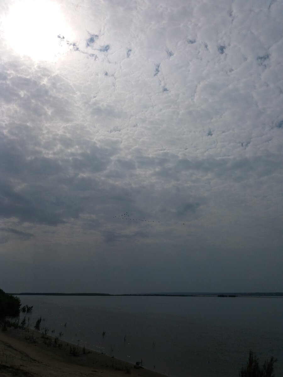 Хоть и пасмурно, но ветра нет. Гладь реки зовет на рыбалку.