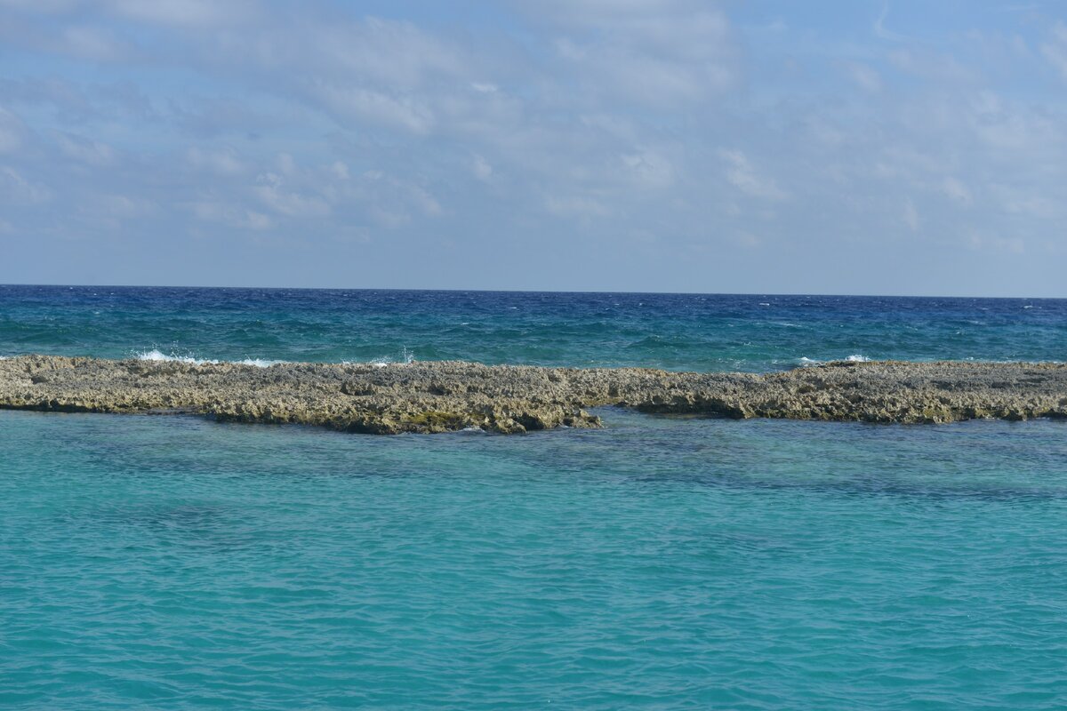 фото снято лично нами! Про этот риф мы расскажем в следующих статьях, такой мы словили по средь океана.