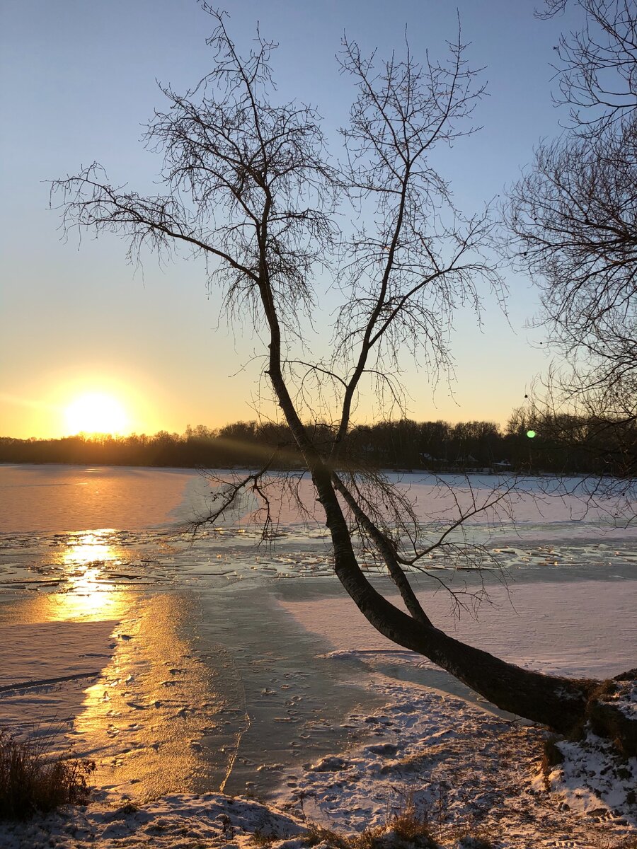 Instagram: @denius1980