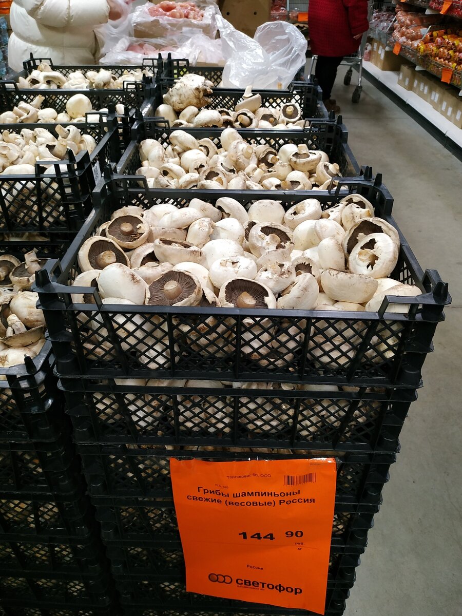 Фотография автора статьи