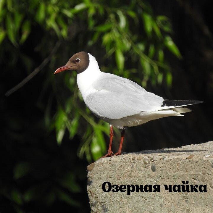 -1-2