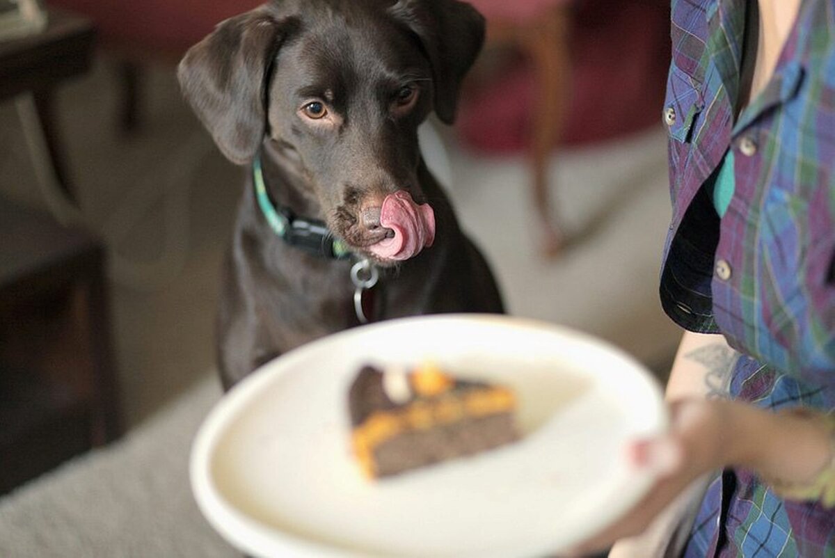 картинка с сайта imgur.com