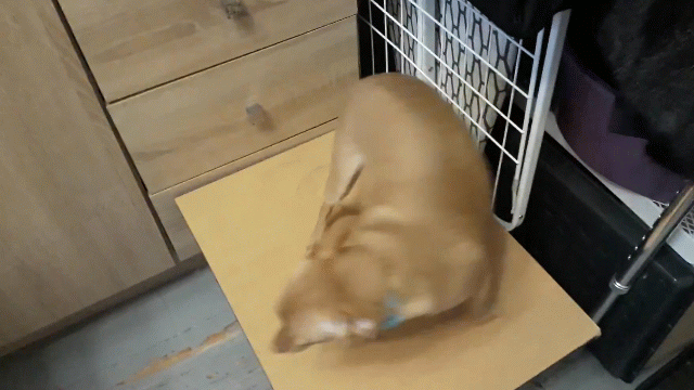 Вот так вот будем вертеться и крутиться в поисках приключений!