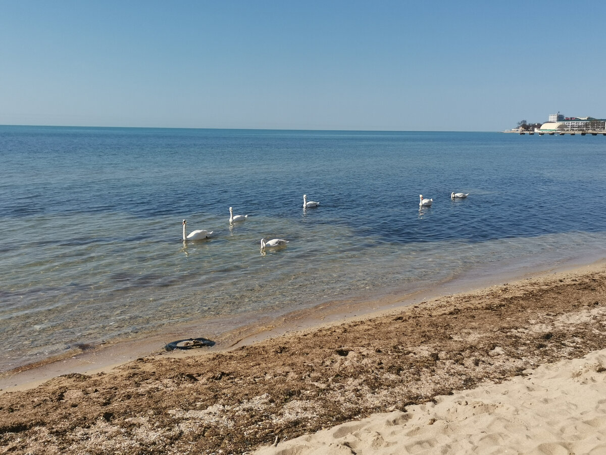 Крым, Евпатория, листайте галерею