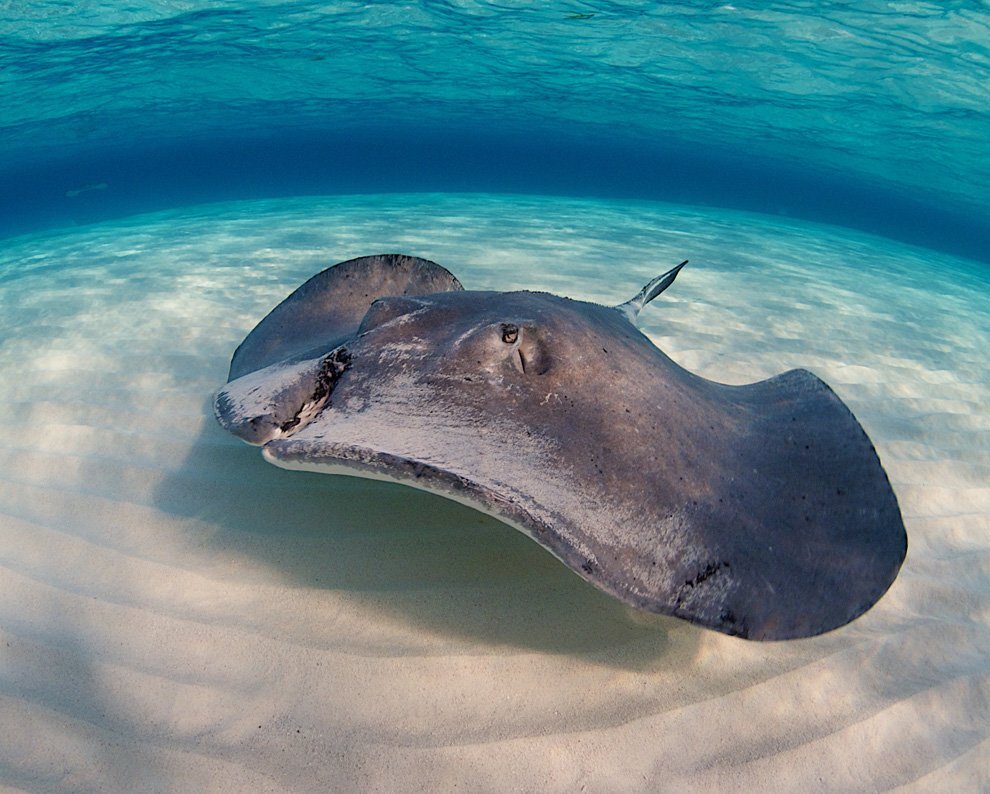 Фото из Yandex