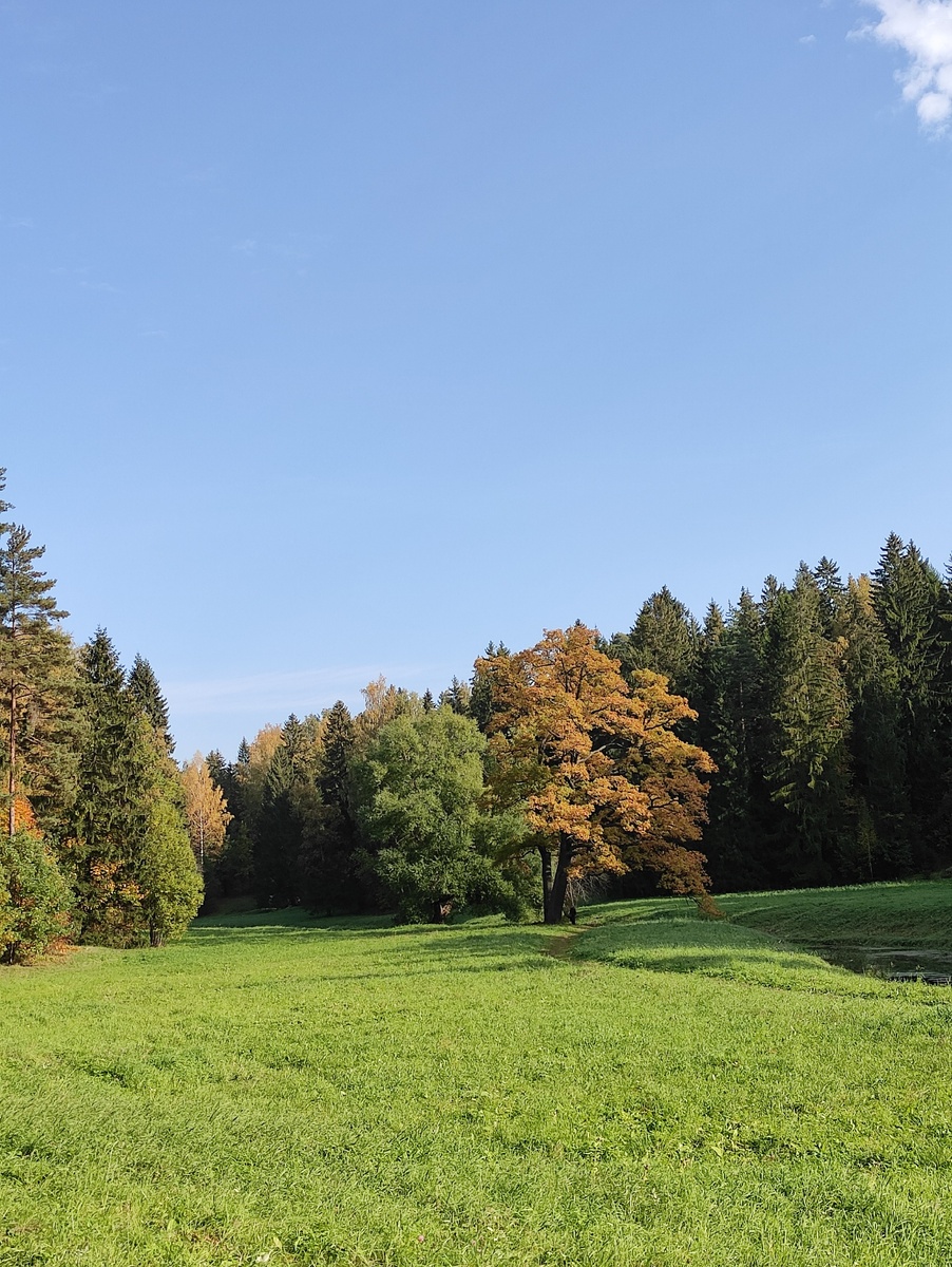 Павловский парк