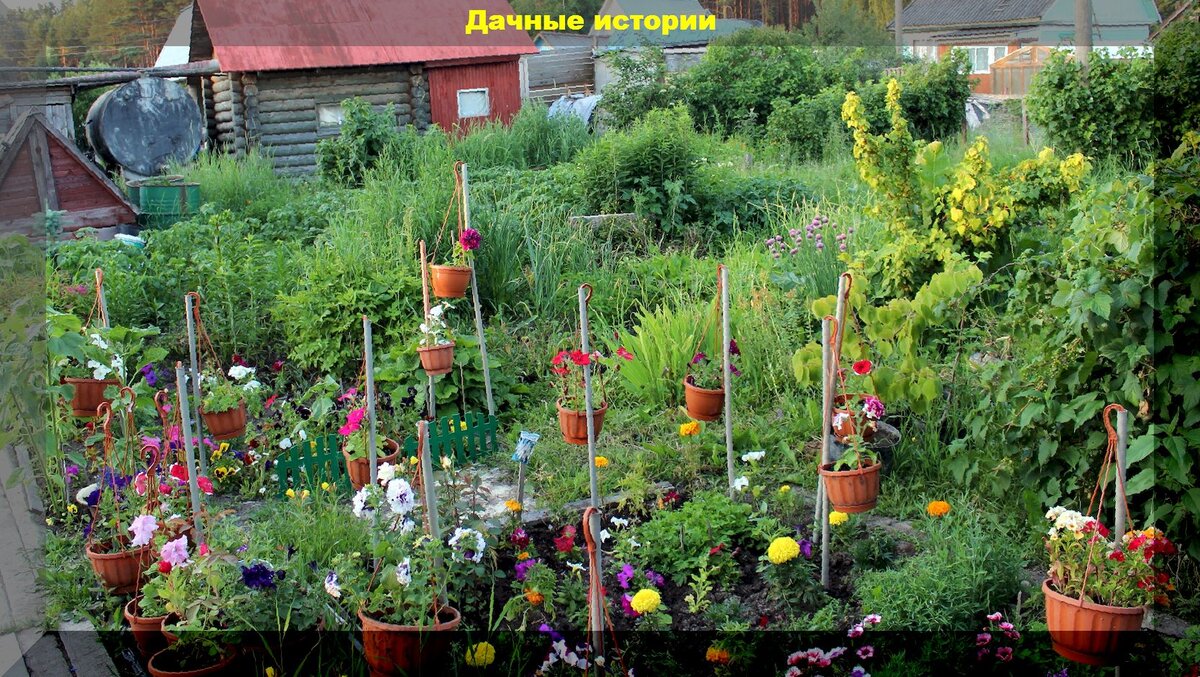 https://vk.com/photo-159774511_457246739