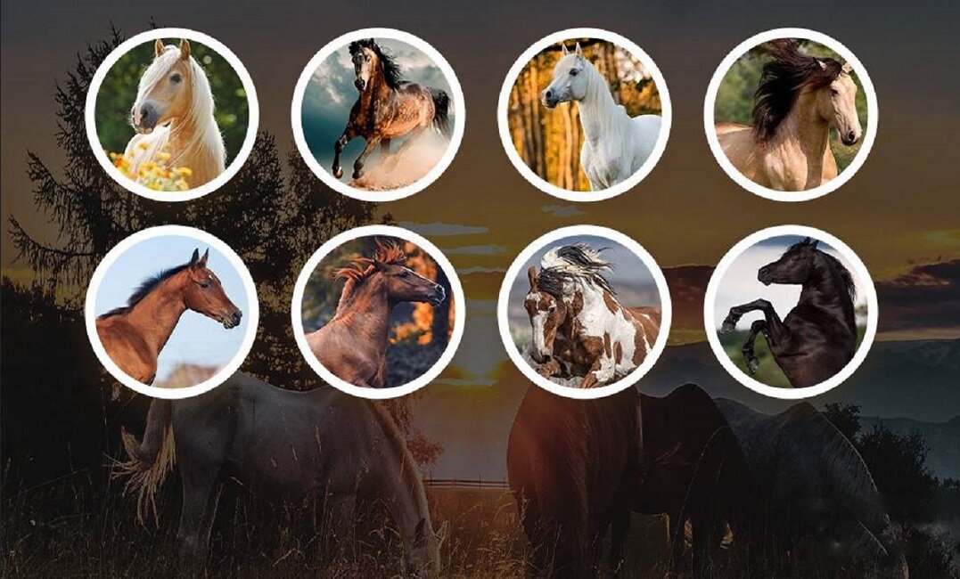 Источник: Professionali.ru      