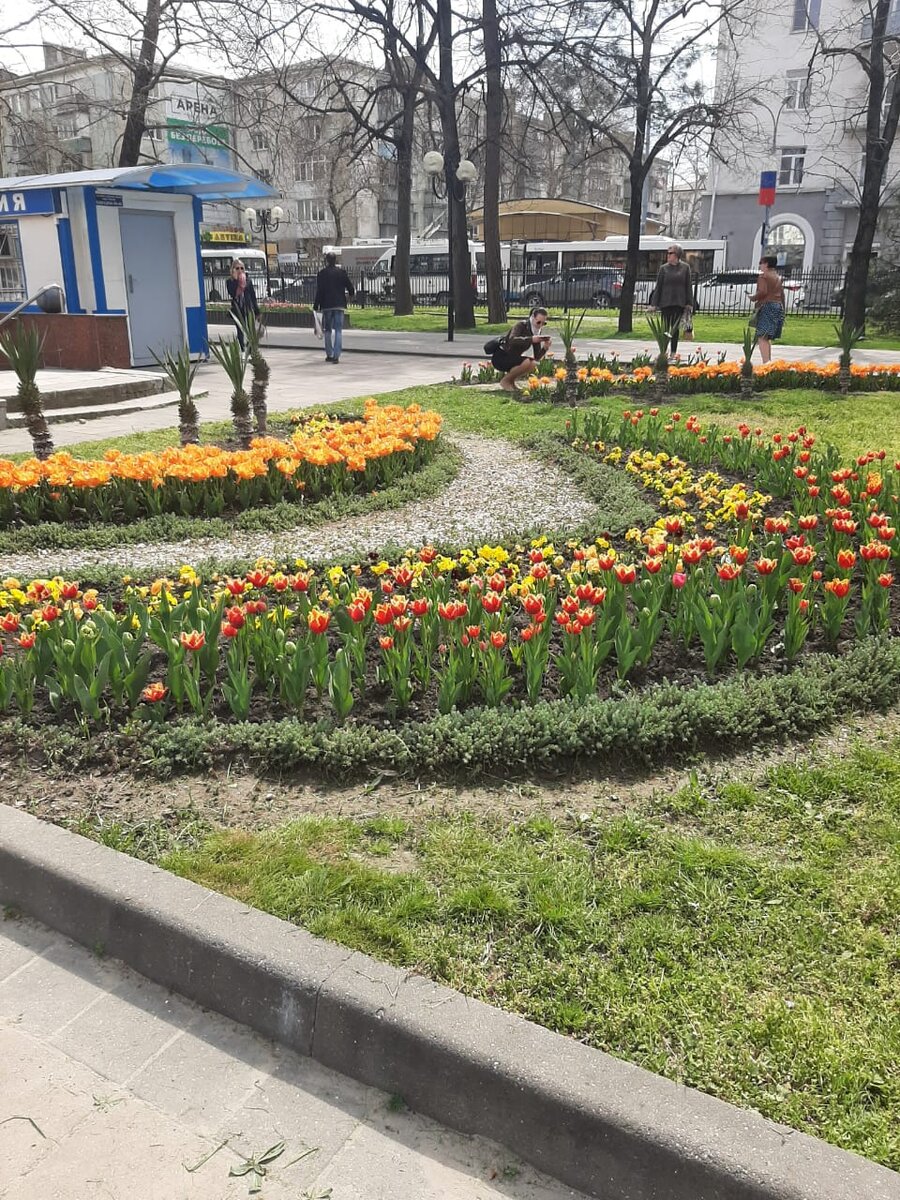 В этом году весна задержалась, но время тюльпанов пришло.