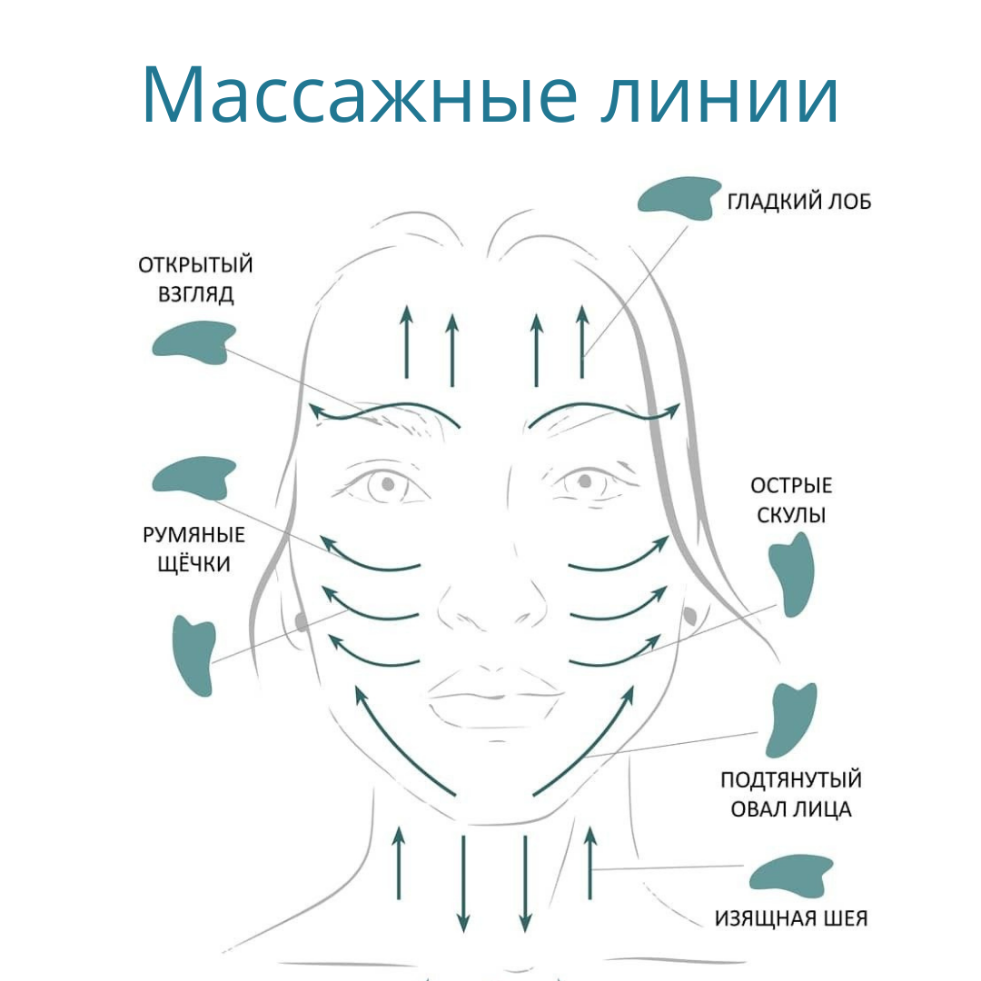 Массаж гуаша для лица дома техника выполнения. Скребок для массажа лица Гуаша. Схема массажа Гуаша для лица скребком. Скребок Гуаша массажные линии. Массаж скребком Гуаша для лица техника.