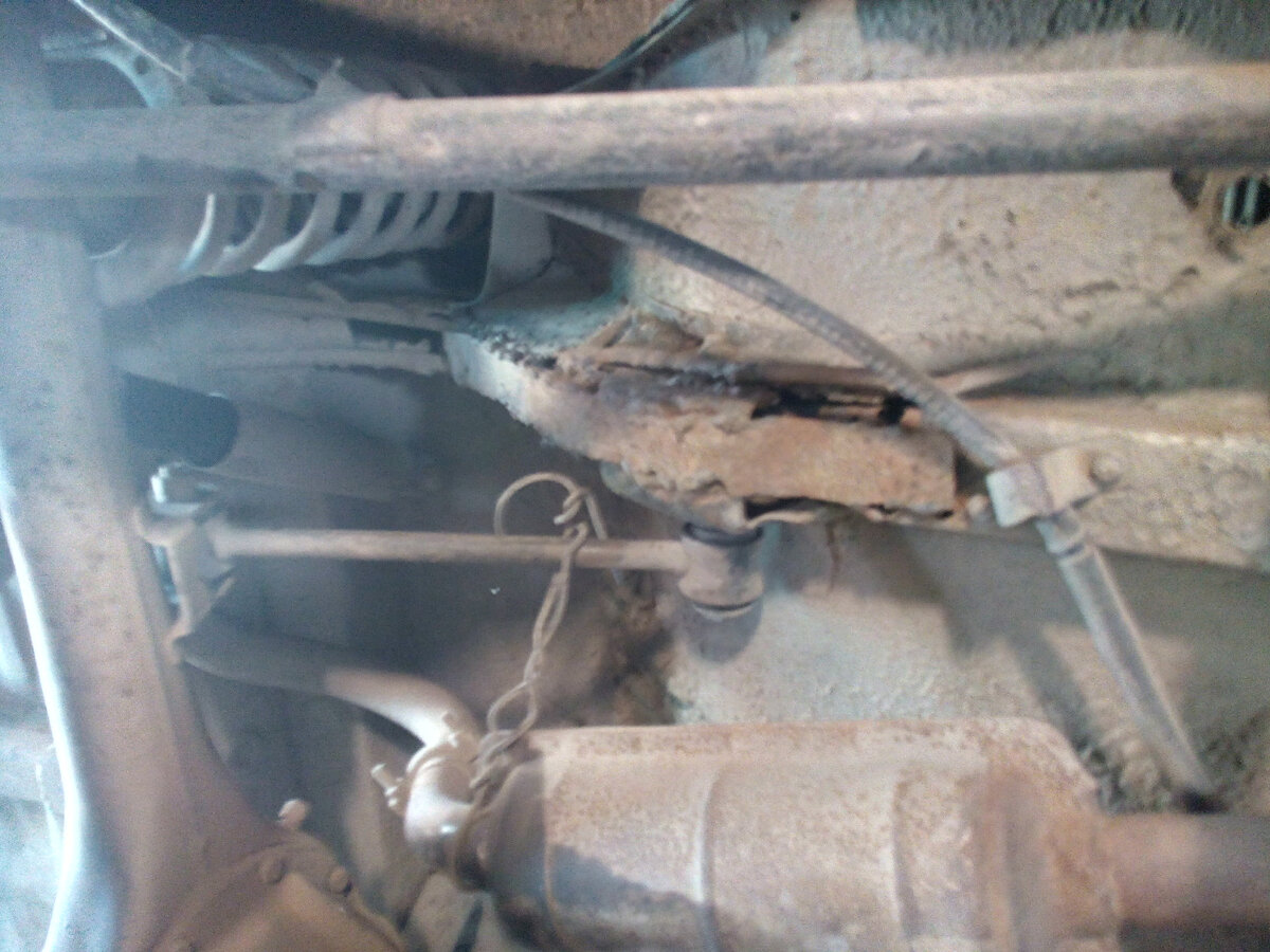 Вот такие на ней были лонжи , причём оба )).