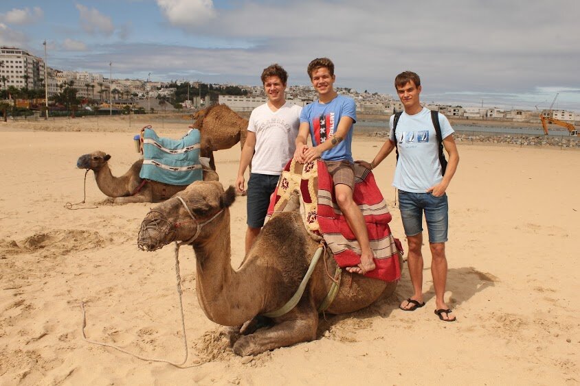 Паша, Петя, Верблюды и Влад. Марокко. Танжер. 2013 год. 