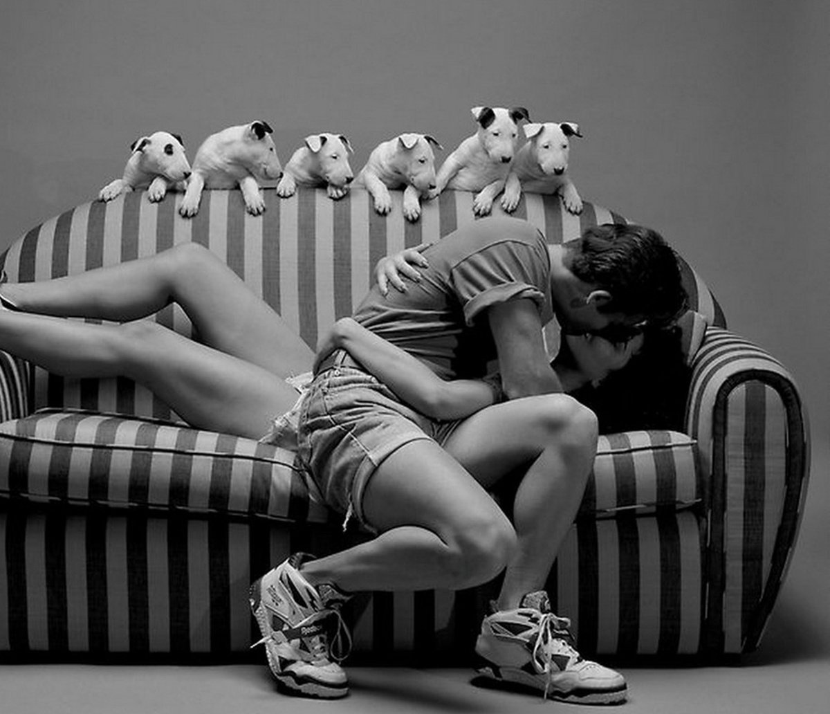 Фото взято из свободных источников Яндекс.Картинок