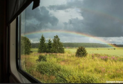 Фото из интернета.