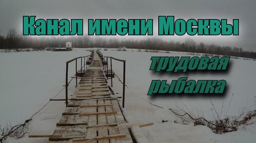 Ловля окуня. Канал имени Москвы. Трудовая рыбалка