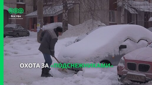 Охота за «подснежниками»