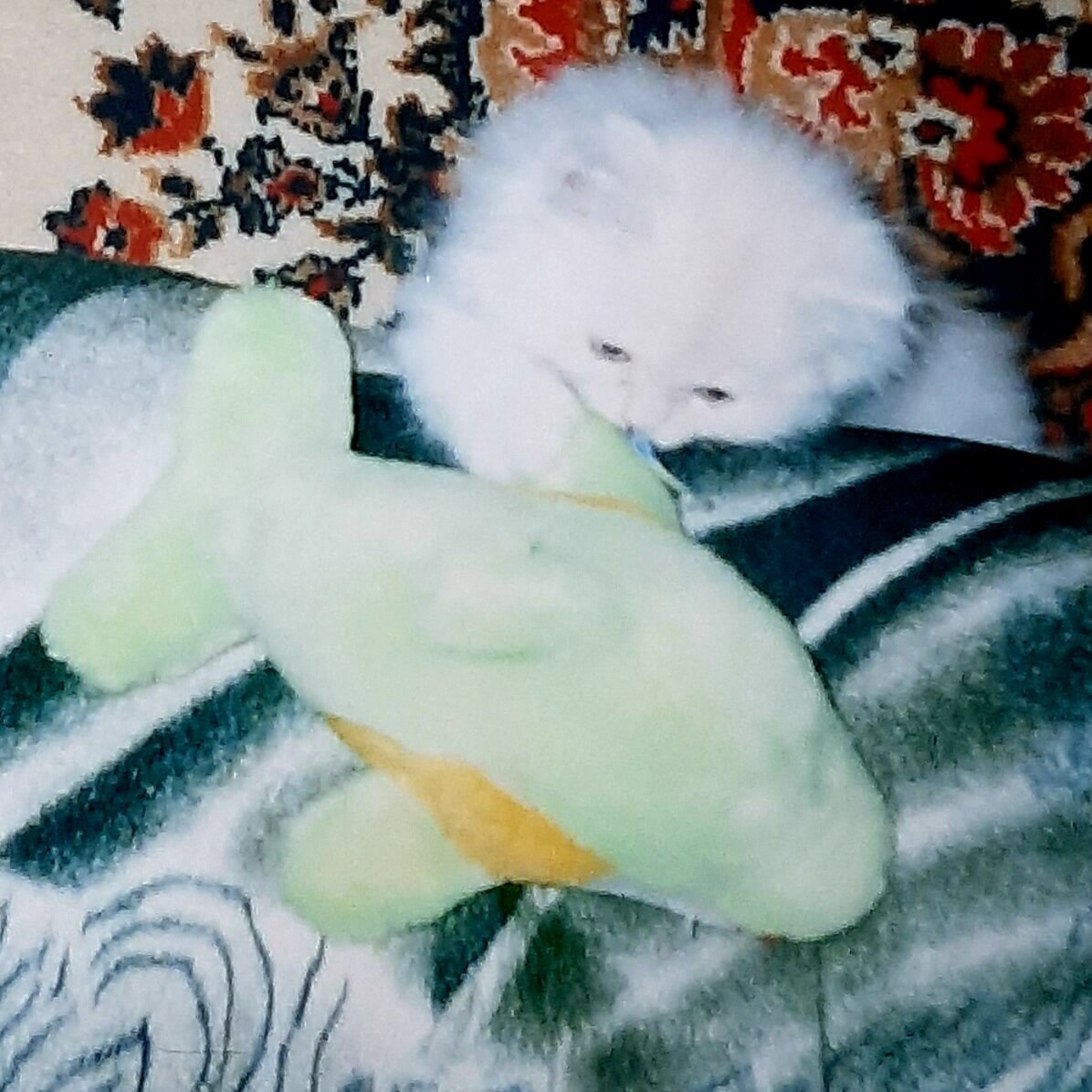 Малыш Марсик 