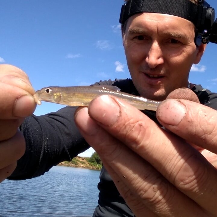 Пескарь тоже хочет кушать.