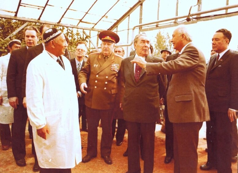 Брежнев и Рашидов