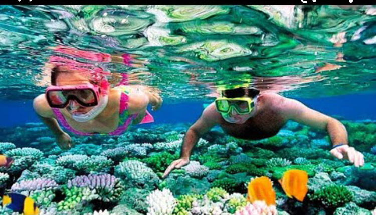 Фото взято из открытых источников