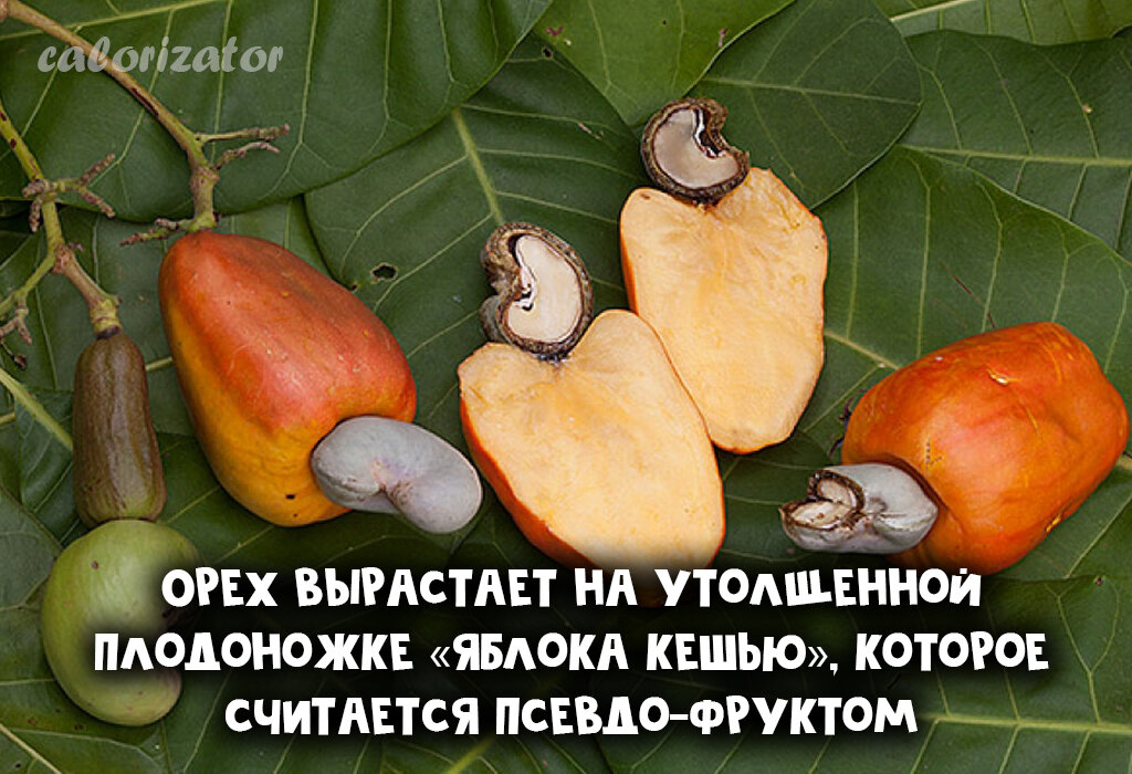 Гликемический индекс продуктов: что это и на что он влияет