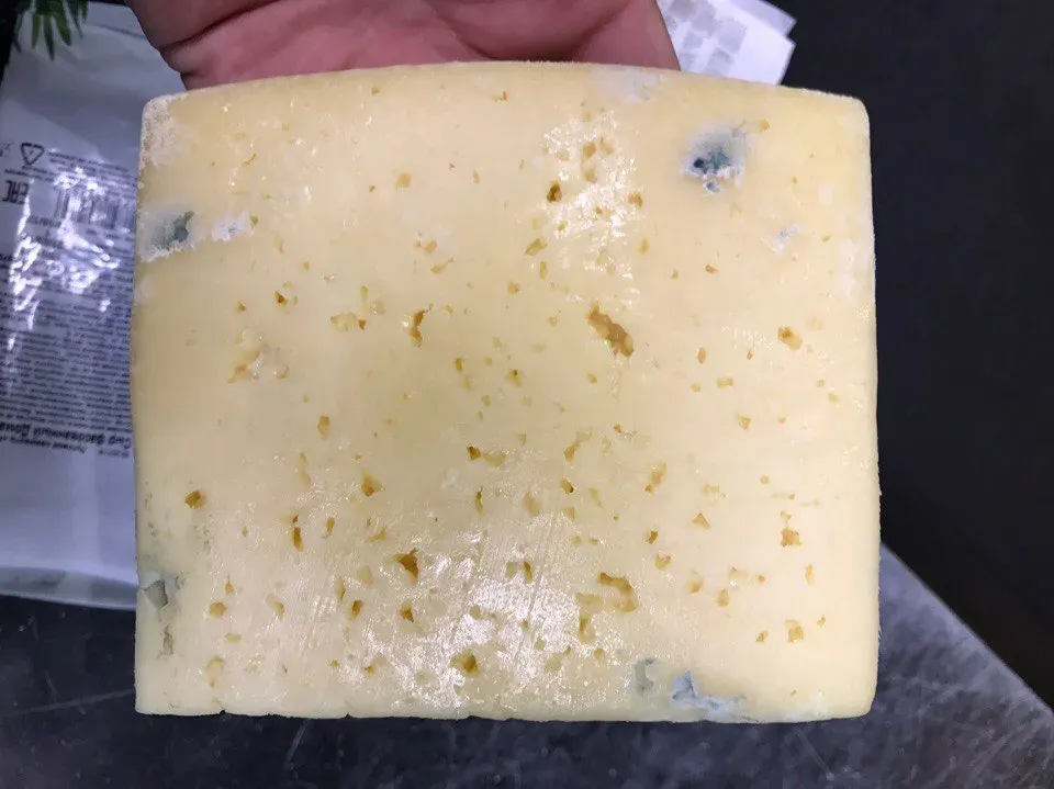 Как реанимировать сыр. Испорченный сыр. Сыр с плесенью. Сыры с плесенью. Сыр пармезан с плесенью.