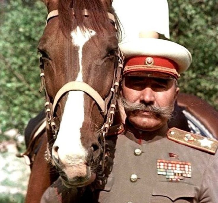 Один из любимых коней Буденного, 6 (шесть) букв - Кроссворды и сканворды