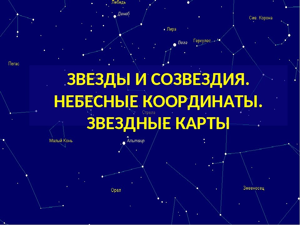 Бескрайнее звездное небо над головой: 10 интересных фактов о созвездиях