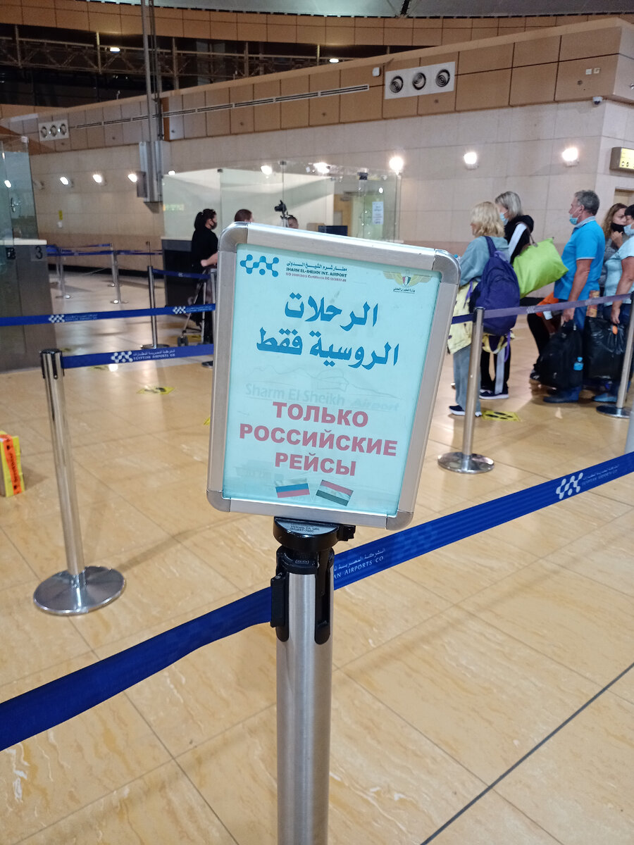 только для вылета в Россию, египеские и наши а/к