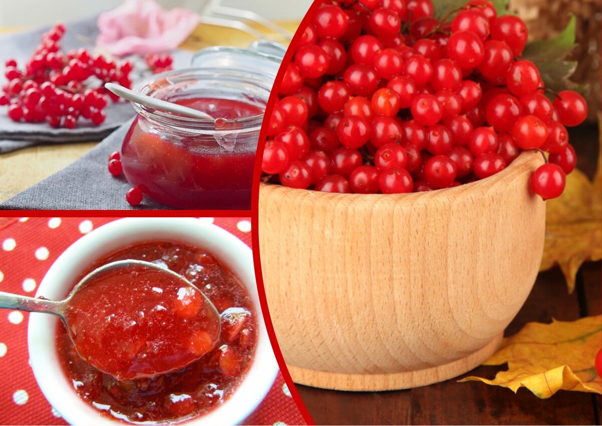 «Сырое» варенье из калины и лимона