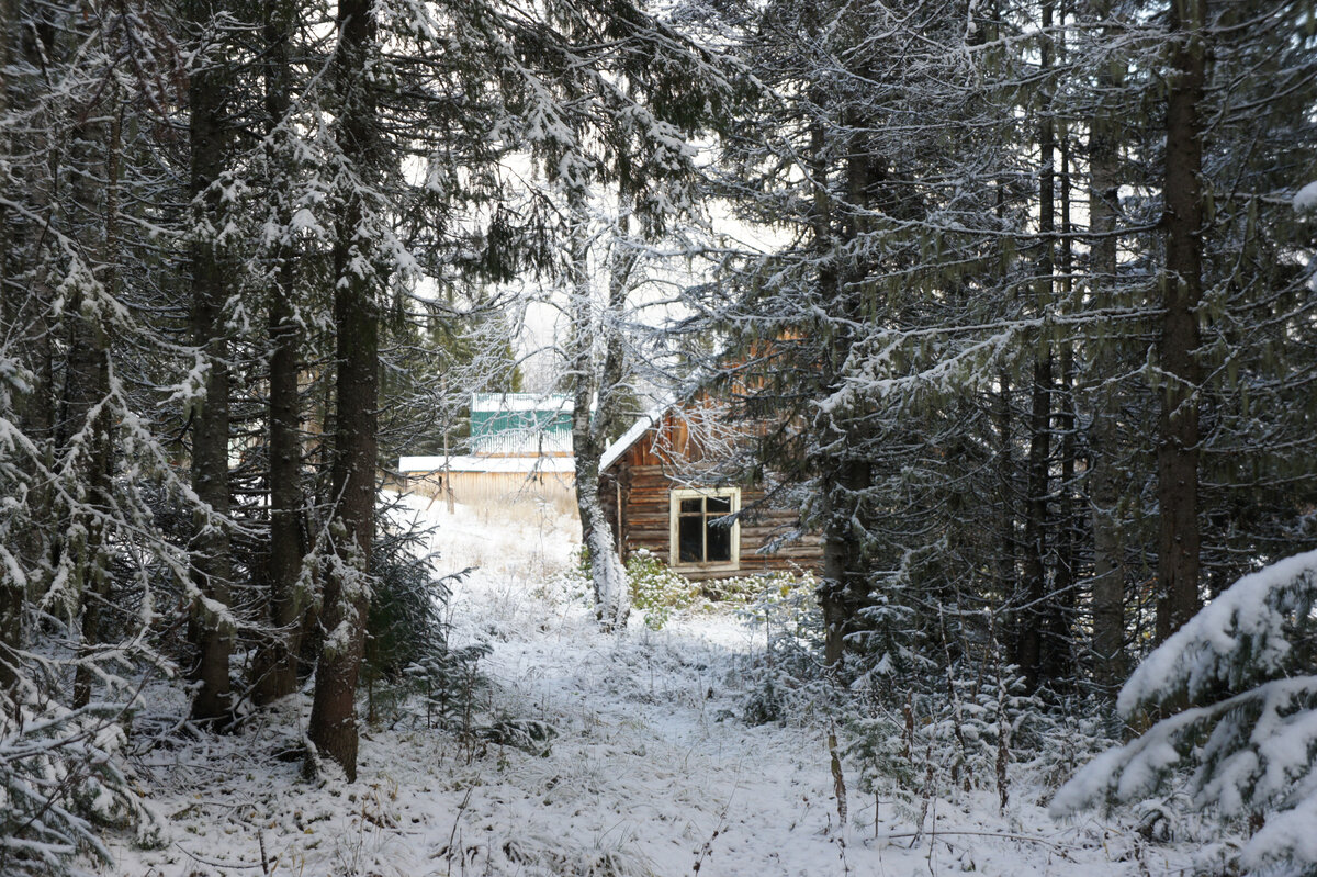 Кордон. Фото автора