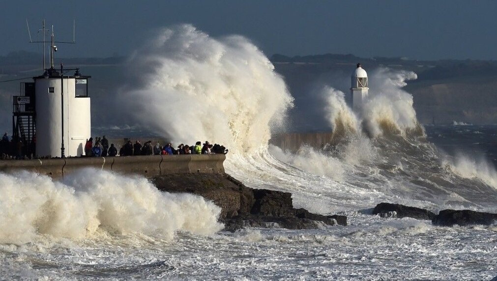 Фото из интернета