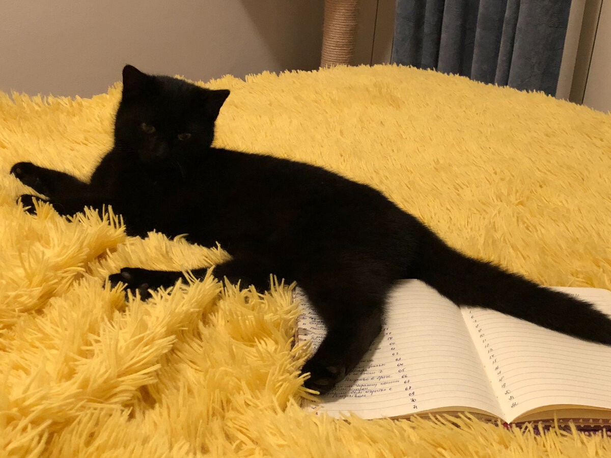 фото автора