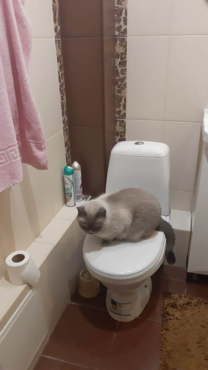 Мне сверху лучше видно