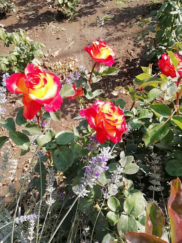 Фото из личного архива