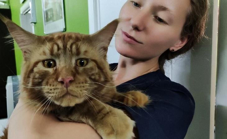    Тенденции на рынке кормов для домашних и сельскохозяйственных животных