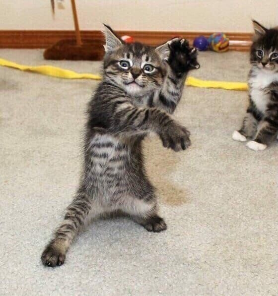 Источник фото: https://www.google.ru