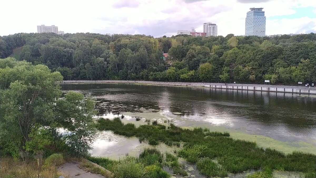    Вид на престижные дома и кустарники (Крылатское). Источник: архив автора