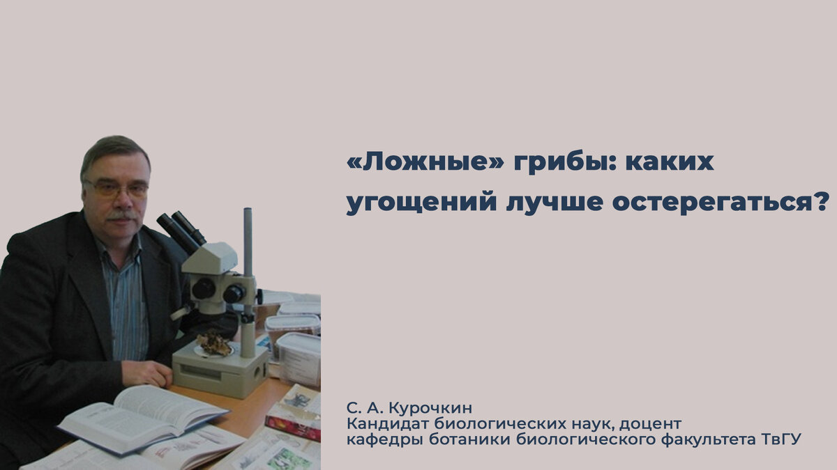 Ложные» грибы: каких угощений лучше остерегаться? | Тверской  государственный университет | Дзен